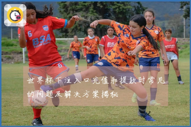 世界杯下注入口充值和提款时常见的问题及解决方案揭秘